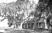 Live oak tree by old garrison at Fort Brooke