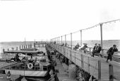 Boats docked at Elser Pier - Miami, Florida
