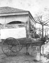 Mule and wagon at the market on Adams between the Park avenues - Tallahassee, Florida.