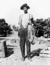 Fruit picker at Eagle Lake