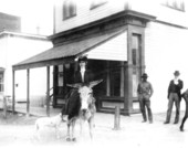Minna Fuller on burro on Bay Street - Eustis, Florida