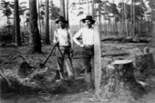Southern States Lumber Company loggers - Escambia County, Florida