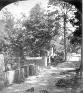 Looking south at the Old City Cemetery - Tallahassee, Florida.