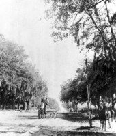 Wagons on Bay Street - Jacksonville, Florida.