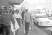 Boycott and picketing of downtown stores - Tallahassee, Florida.