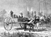 Illustration of a Florida cracker going to church
