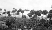 View of wharf in Lake Monroe - Sanford, Florida.