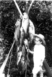 Walter Stokes and a large catch of fish - Mohawk, Florida