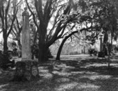 Marker desginating where Major Francis Dade was killed during Second Seminole War at Dade Battlefield Historic State Park - Bushnell, Florida