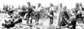 Convicts at work on a privately owned farm