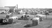 Tampa Municipal Trailer Park
