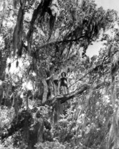 Tarzan and Jane during filming of "Tarzan's Secret Treasure" - Wakulla Springs, Florida