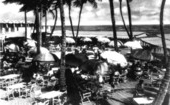 Dining under coconut palms at the Boca Raton Club.