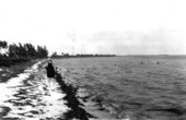 View of the beach - Long Key, Florida