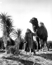 Black Hills Passion Play - Lake Wales, Florida