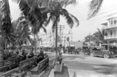 Royal Palm Park along East Flagler Street - Miami, Florida.