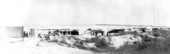 Three Wrigley Flying Circus airplanes near the Hotel Clarendon - Seabreeze, Florida