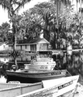 Motorboats tied to the shore along Cross Creek - Cross Creek, Florida