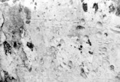 Close-up view of the old wall of Fort San Marcos de Apalache - St. Marks, Florida