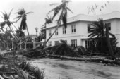 Palms down around the Kentucky House hotel due to hurricane - Delray Beach, Florida.