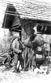 Hunter and dogs with turkeys and fish - Green Swamp, Florida