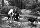 Flood from Hurricane Dora - Jacksonville, Florida.