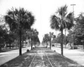 Looking down Main Street - Jacksonville, Florida.