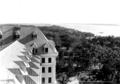 Looking over the treetops from hotel - Lake Worth, Florida