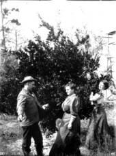 Pearsall family picking oranges - Melrose, Florida