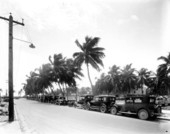 Automobiles parked by Royal Palm Park - Miami, Florida