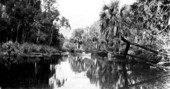 Boating at Silver Springs - Ocala, Florida