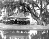 Florida Symphony performs under an oak at Tomoka State Park - Ormond Beach, Florida.