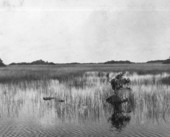 Landscape view from the Tamiami Trail - Everglades, Florida