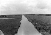 Canal bordering road near Miami - Miami Region, Florida.