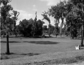 River Oaks Park..