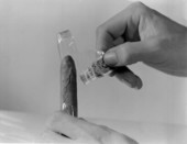 Close-up view of a cigar from Swisher's King Edward Cigars factory in Jacksonville, Florida.