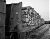 Close-up view of a Seaboard Air Line Railroad Company train car - Jacksonville, Florida
