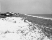 Alligator Point