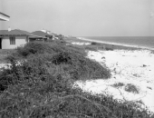 Alligator Point