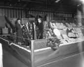 Rugs at the North Florida Fair.