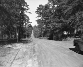 Looking north down Bronough St. at 2nd Ave. in Tallahassee.
