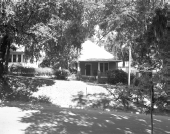 Shaded home in Tallahassee.