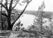 High bluff overlooking the Apalachicola River in the "Garden of Eden"