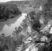 High bluff overlooking the Apalachicola River in the "Garden of Eden"