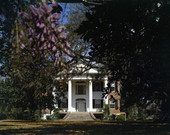 The Grove at 100 E. First Ave. on the corner of N. Adams in Tallahassee, Florida.