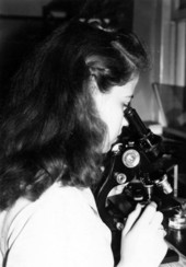 Technician examining specimen under microscope.