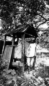 Dilapidated outhouse in Florida.