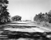 Five miles south of Gainesville on Perry Road