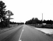 Unidentified road - Woodville, Florida