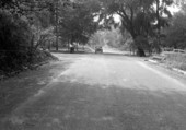 Looking west on 6th Street at Marion in Tallahassee
